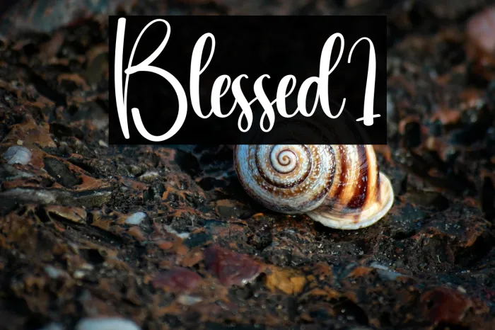 Blessed1 Example 2