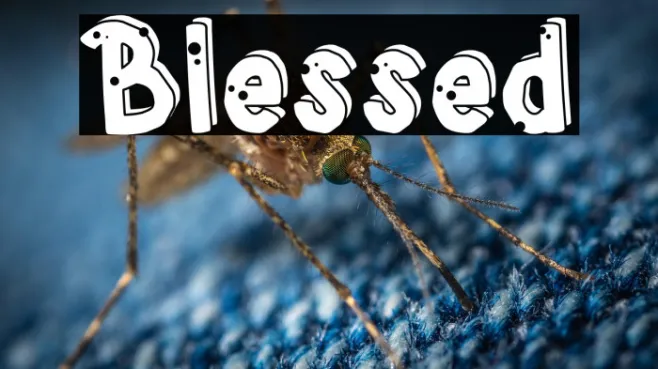 Blessed Example 1