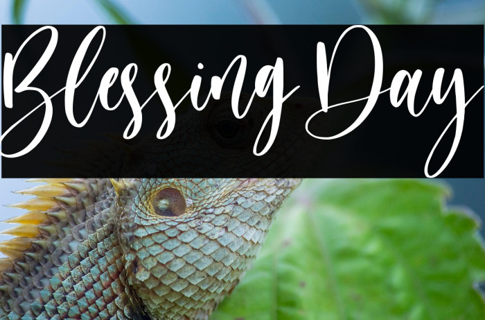 Blessing Day Example 3
