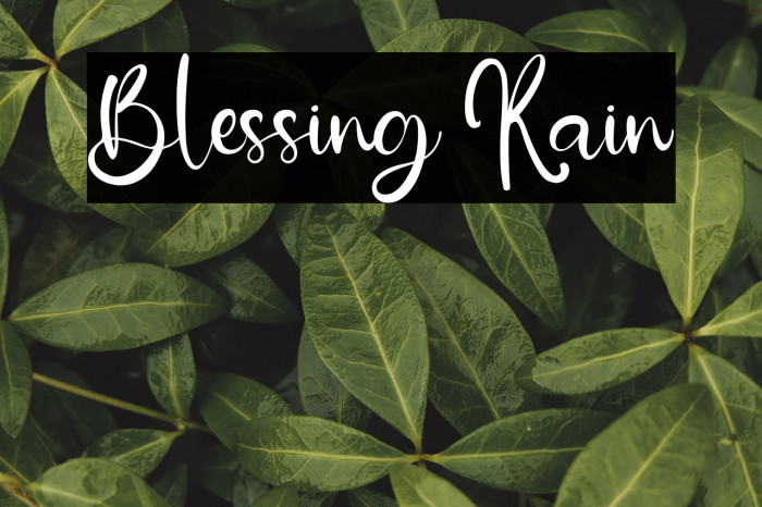 Blessing Rain Example 3