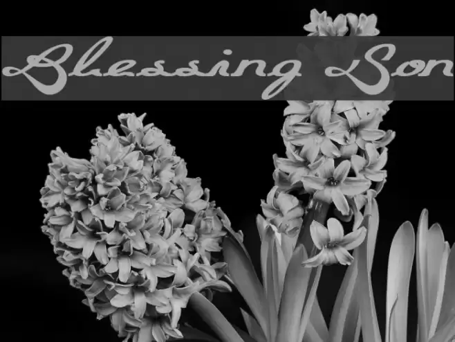 Blessing Son Font examples
