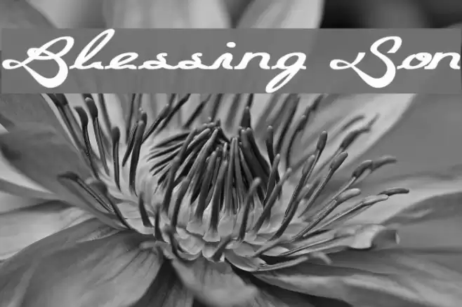 Blessing Son Font examples