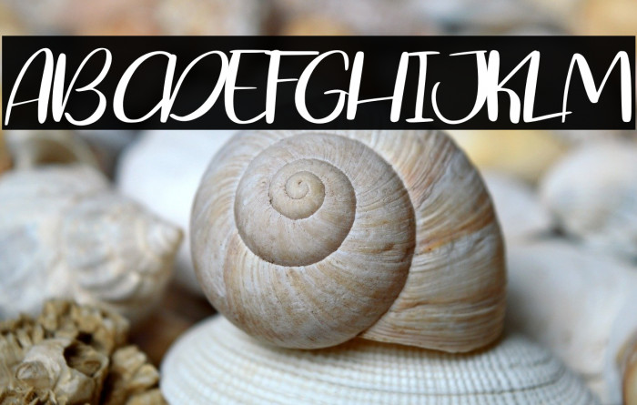 Blessing Splash Example 2