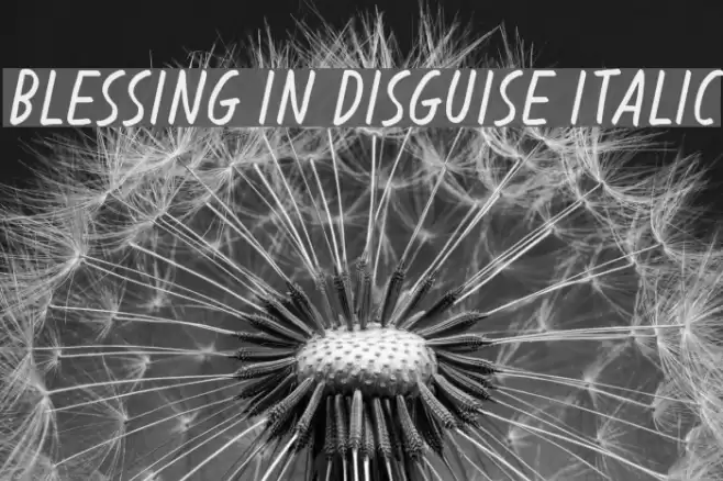 Blessing in Disguise Italic Font examples
