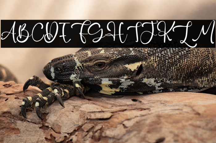 BlessingRain Example 2