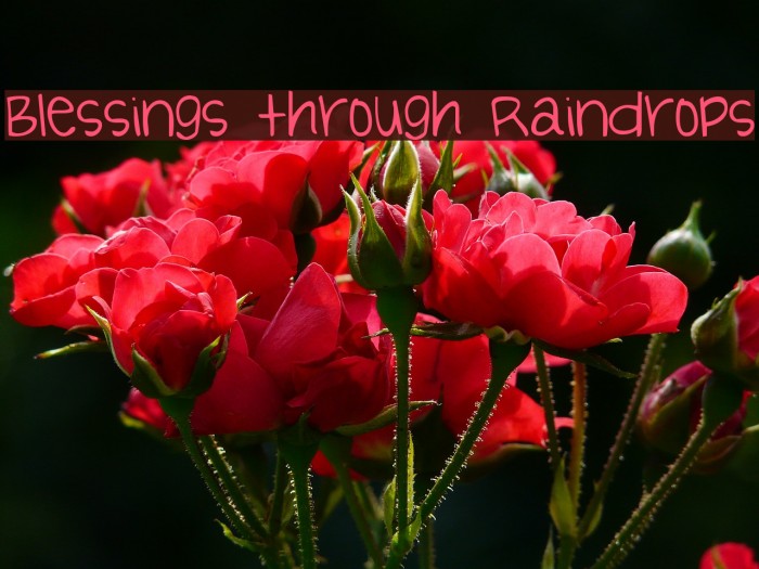 Blessings through Raindrops Font examples