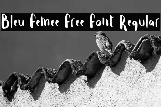Bleu Femee Free Font Regular Font examples
