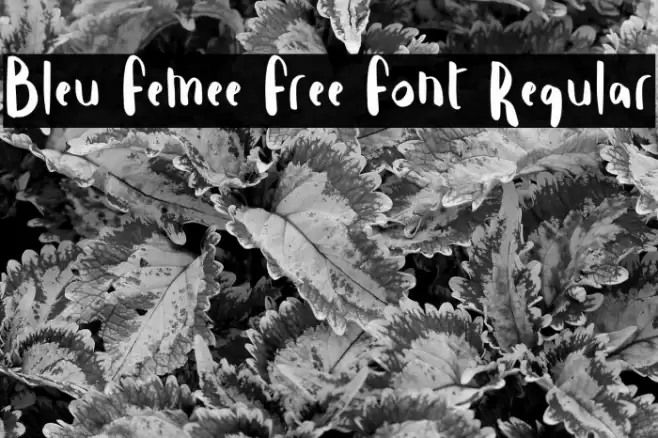Bleu Femee Free Font Regular Font examples