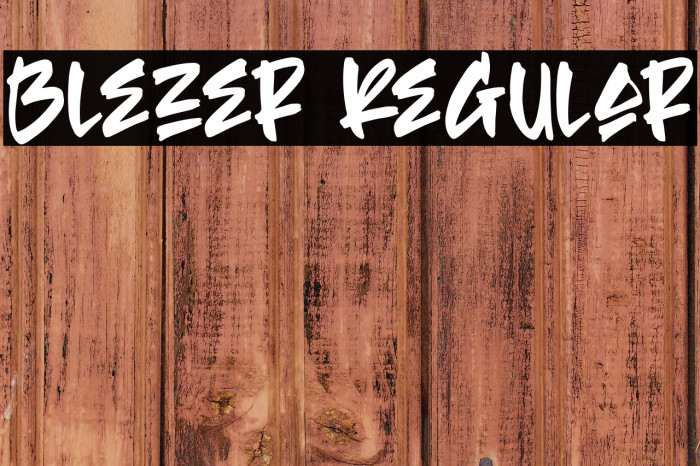 Blezer Regular Example 1