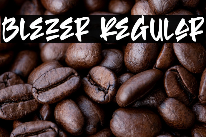 Blezer Regular Example 2