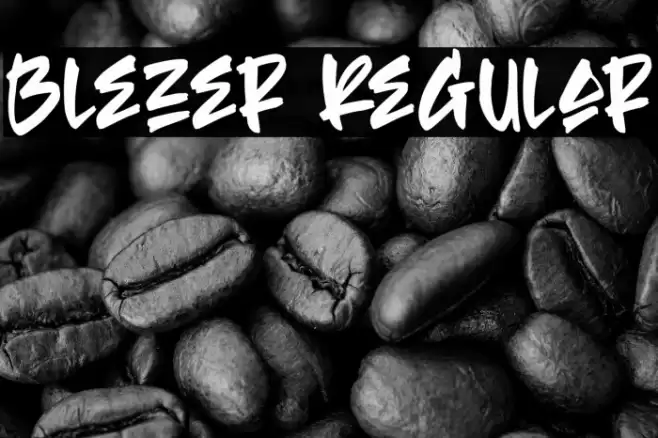 Blezer Regular Font examples