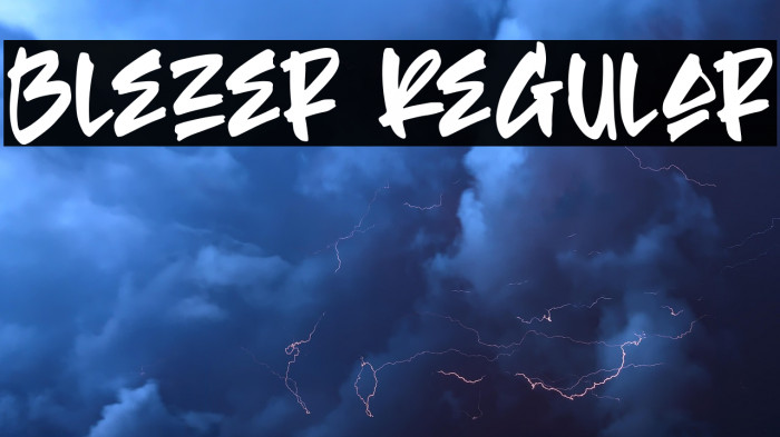 Blezer Regular Example 3