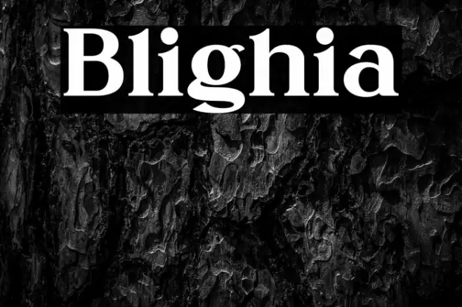 Blighia Font examples