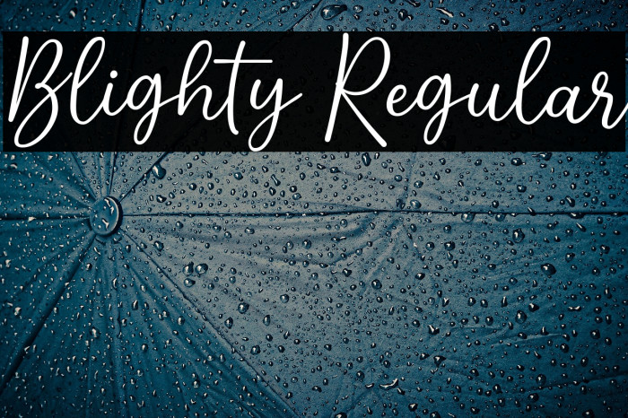 Blighty Regular Example 3