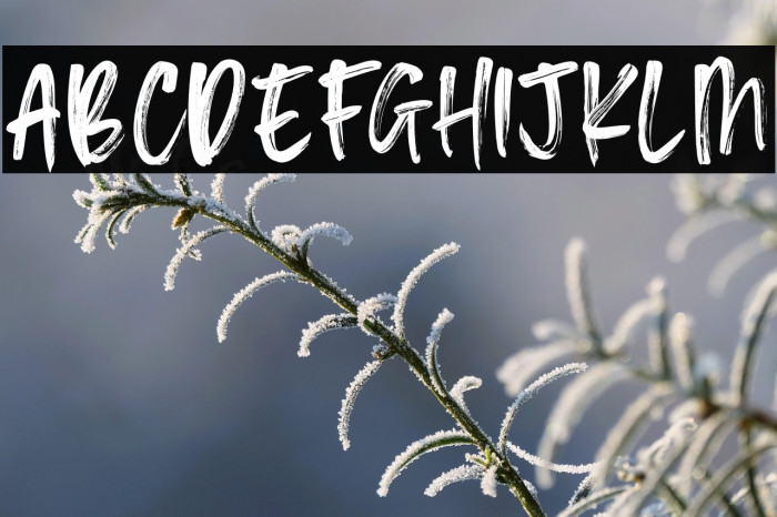 Blimps personal use Example 2