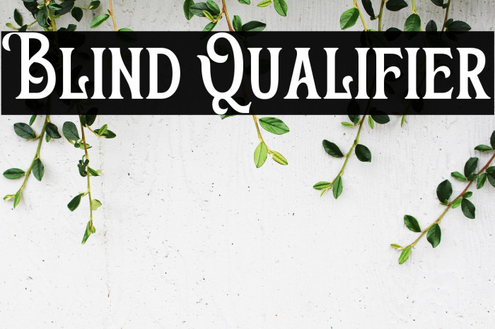 Blind Qualifier Example 1