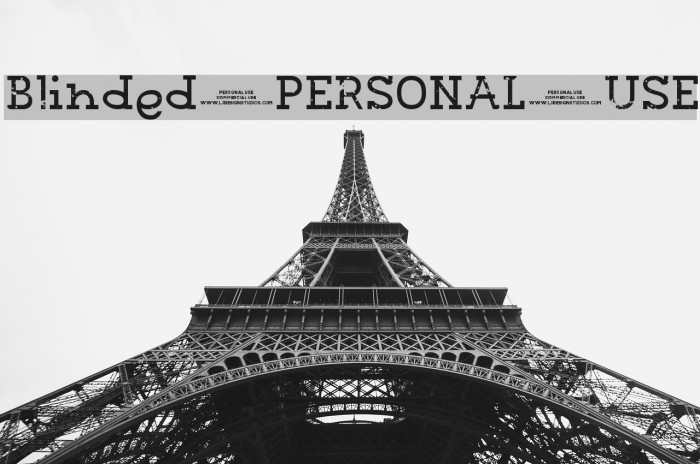 Blinded PERSONAL USE Example 1