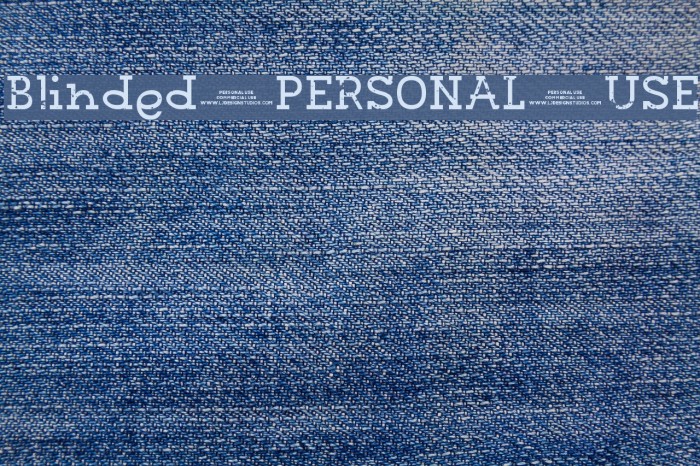 Blinded PERSONAL USE Example 2