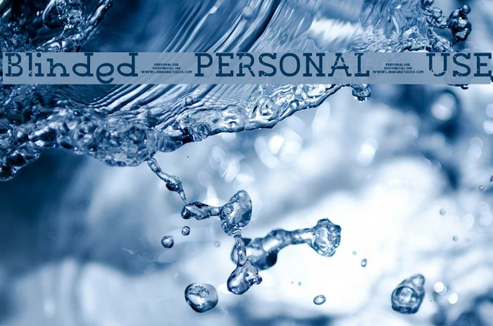 Blinded PERSONAL USE Example 3