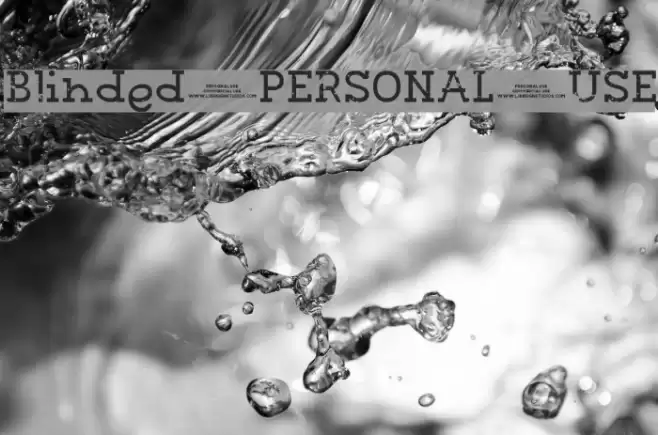 Blinded PERSONAL USE Font examples