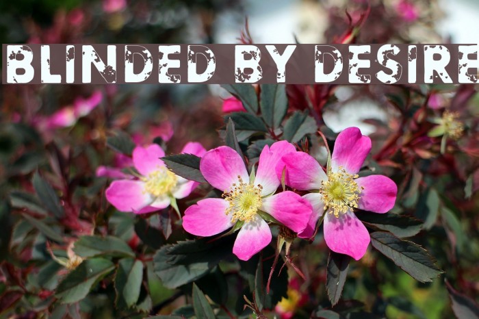 Blinded by desire Font examples