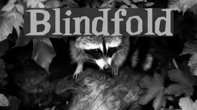 Blindfold Font examples