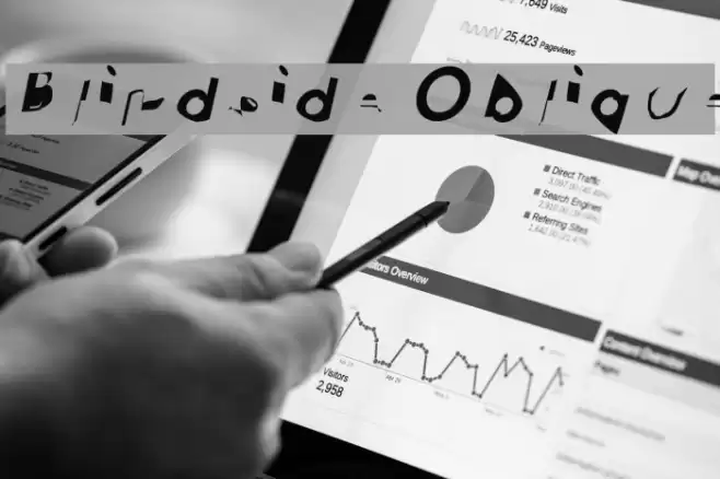 Blindside Oblique Font examples