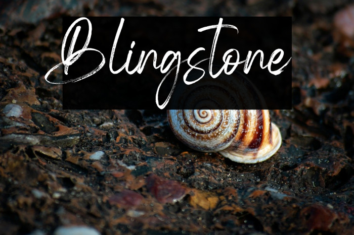 Blingstone Example 2