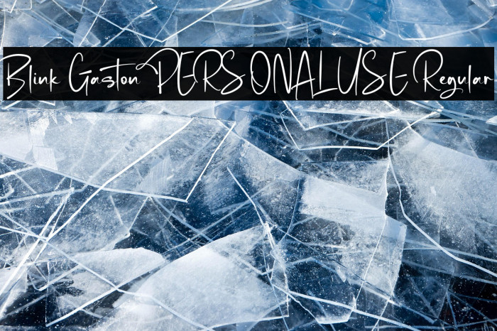 Blink Gaston PERSONAL USE Regular Example 1