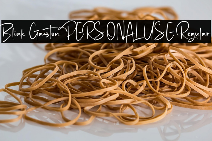 Blink Gaston PERSONAL USE Regular Example 2