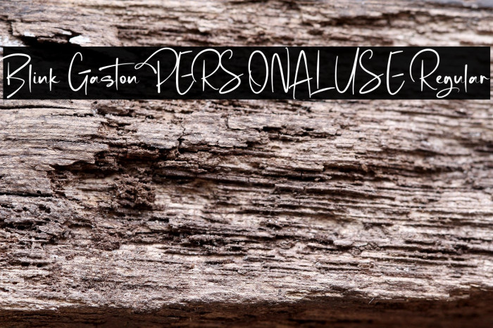 Blink Gaston PERSONAL USE Regular Example 3