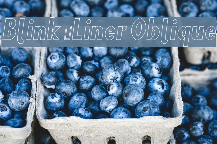Blink 'Liner Oblique Font examples