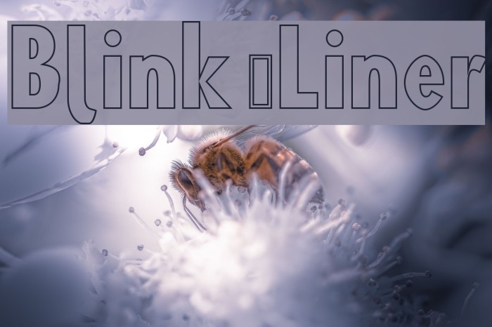 Blink 'Liner Font examples