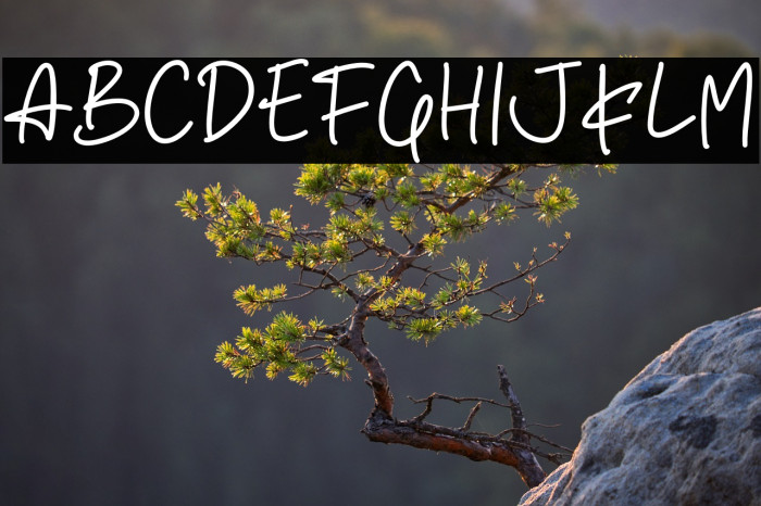 Blink Script Example 2