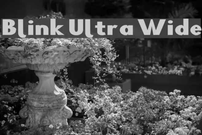 Blink Ultra Wide Font examples