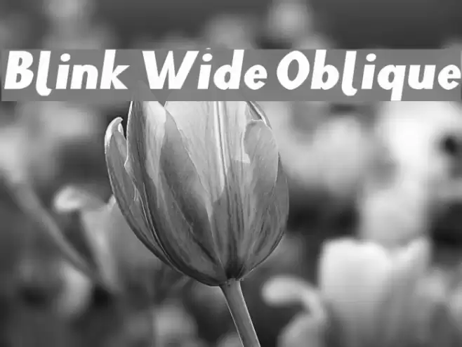 Blink Wide Oblique Polices examples