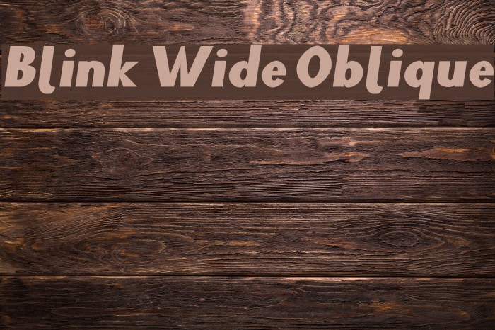 Blink Wide Oblique Polices examples