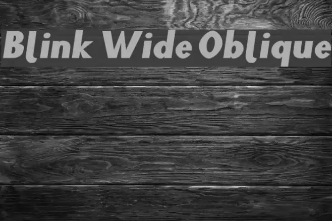 Blink Wide Oblique Polices examples