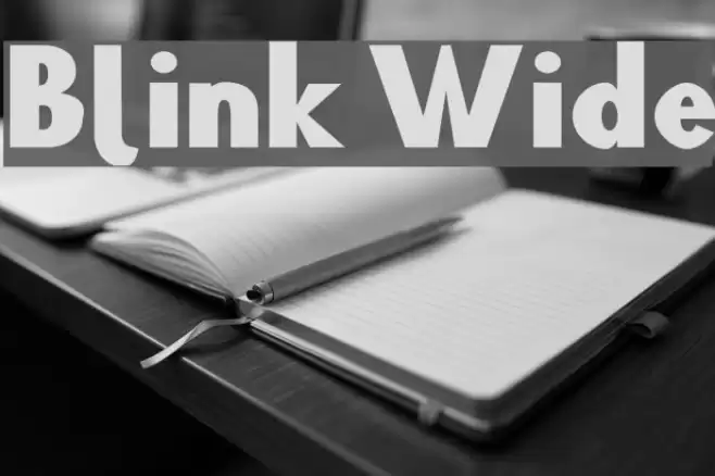 Blink Wide Polices examples