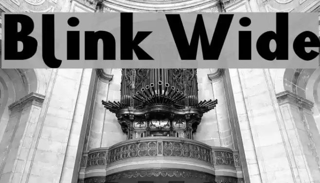 Blink Wide Polices examples