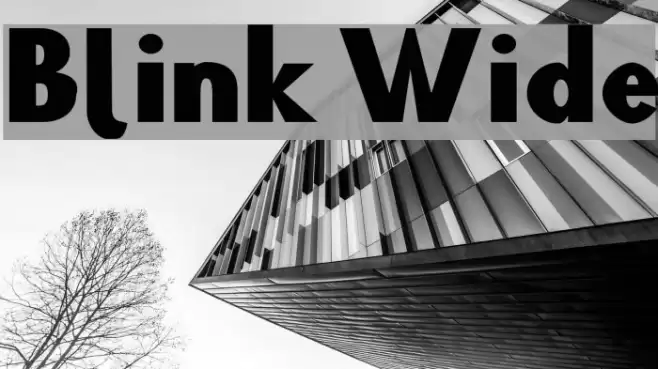 Blink Wide Polices examples
