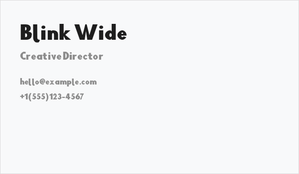 Blink Wide Business Card