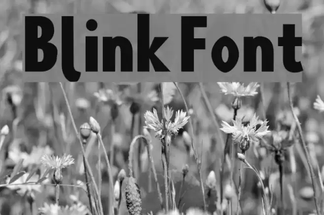 Blink Font examples