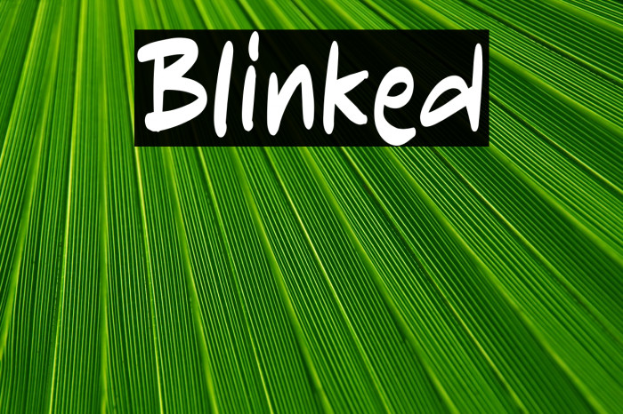 Blinked Example 2