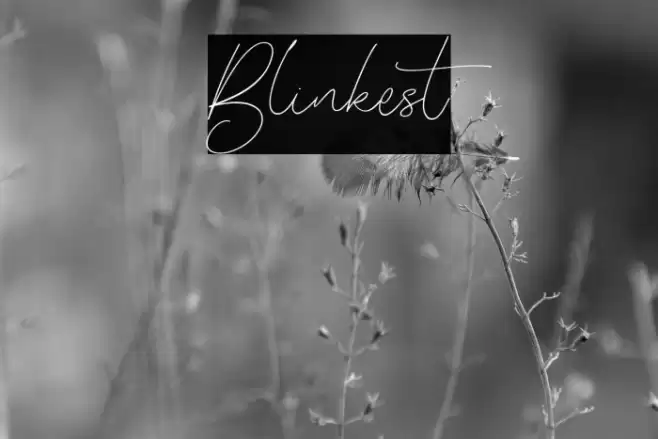 Blinkest Font examples