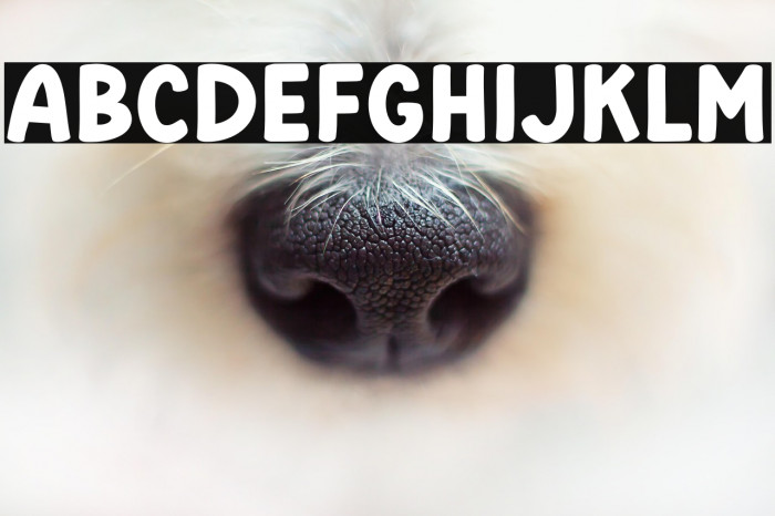 Blinky Star Example 3