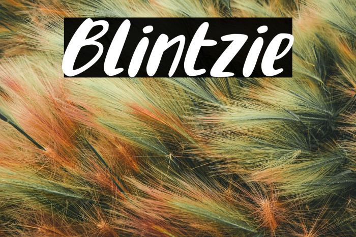 Blintzie Example 2