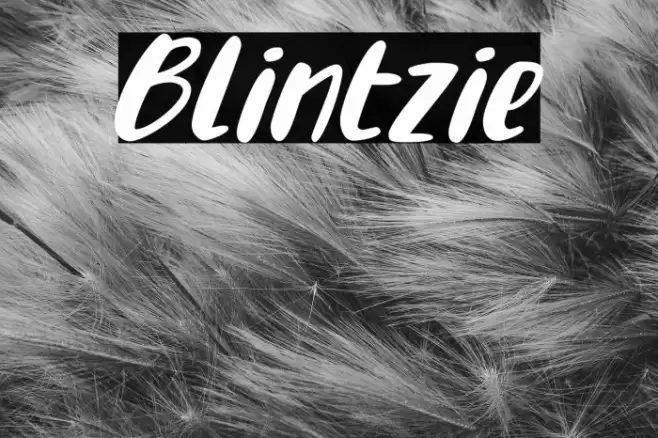 Blintzie Font examples