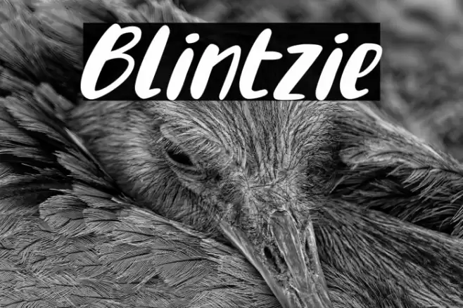 Blintzie Font examples