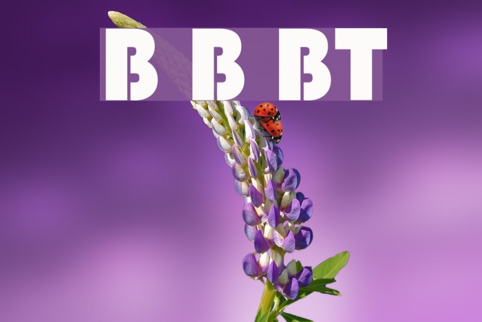 Blippo Black BT Example 3